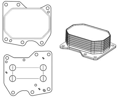 Радиатор масляный Ford Transit (06-)/(13-)/Peugeot Boxer (06-) 2.2TD (124114.843мм) (LOc 1001)