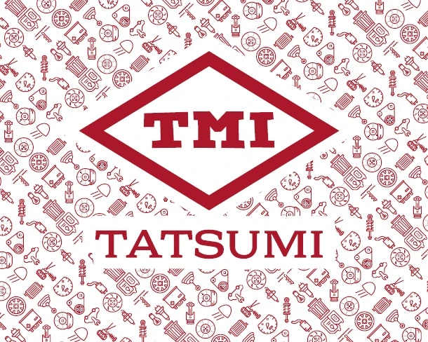 Лампа галогенная Tatsumi TFN1006 HB4/9006 12V 51W, 1