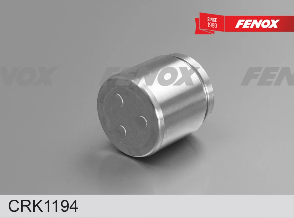 Ремкомплект тормозного суппорта Fenox CRK1194