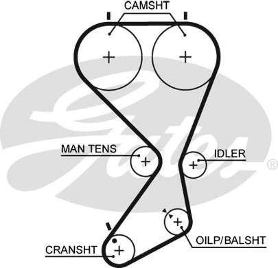 Ремень ГРМ GATES 5556XS
