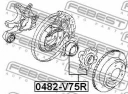 Ступица задняя FEBEST 0482-V75R