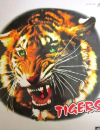 Наклейка Тигр (цветная)