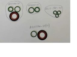 Кольцо уплотнительное шлангов кондиционера 2123 (10 шт.)